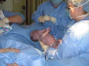 IMG_1754 First Breath of The Quail