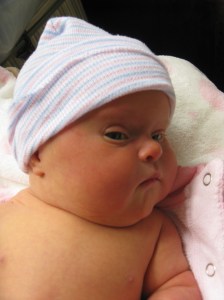 IMG_1940 The Quail in a Cap