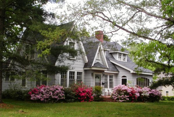 MINOLTA DIGITAL CAMERA