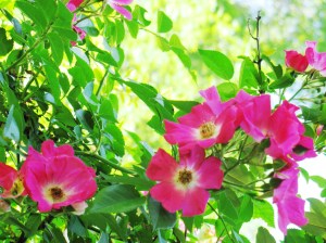 ???????????????????????????????